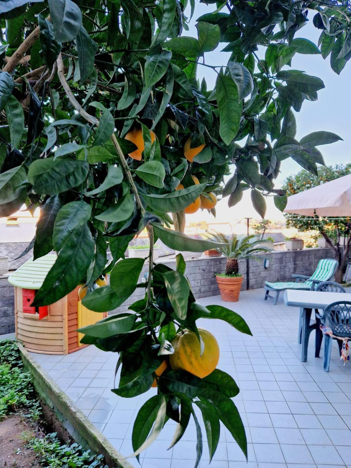 Fuga A Napoli Apartment المظهر الخارجي الصورة
